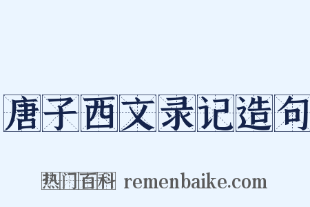 唐子西文录记造句是什么意思的图片
